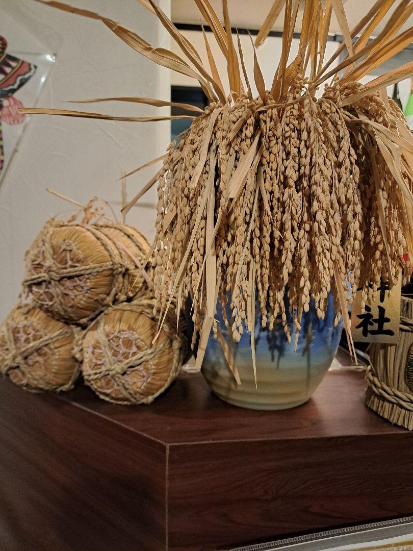 新鮮 /お米 きぬむすめ10kg