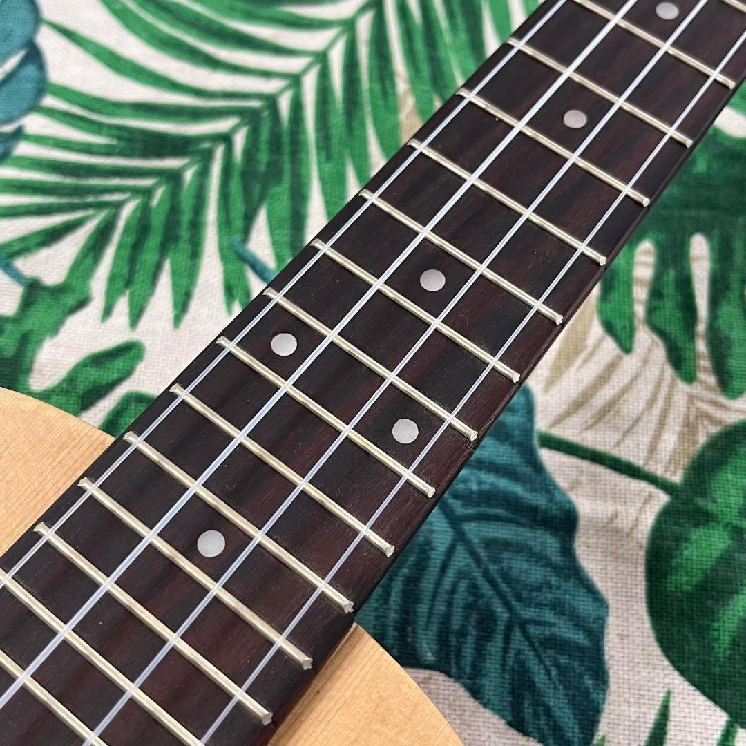 【music ukulele】つる薔薇のエレキ・コンサートウクレレ【入門セット】 ブランドおもちゃ・ホビー・グッズ - 【music ukulele】つる薔薇