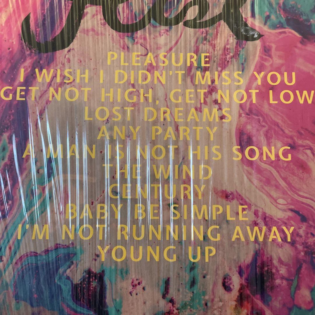 FEIST / PLEASURE レアアルバム