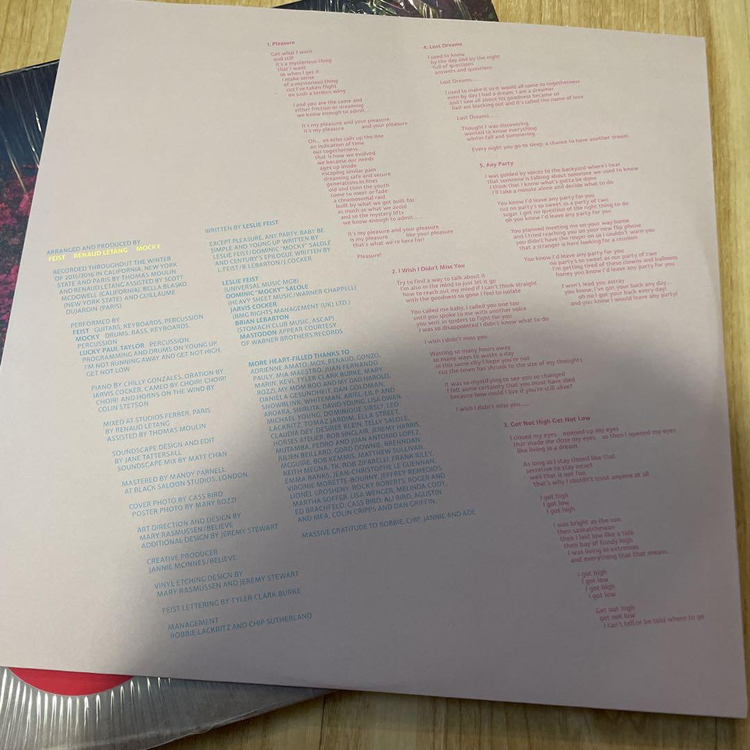 FEIST / PLEASURE レアアルバム