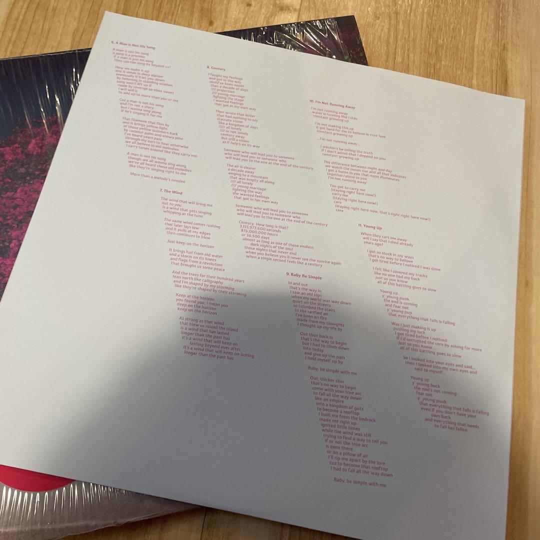 FEIST / PLEASURE レアアルバム