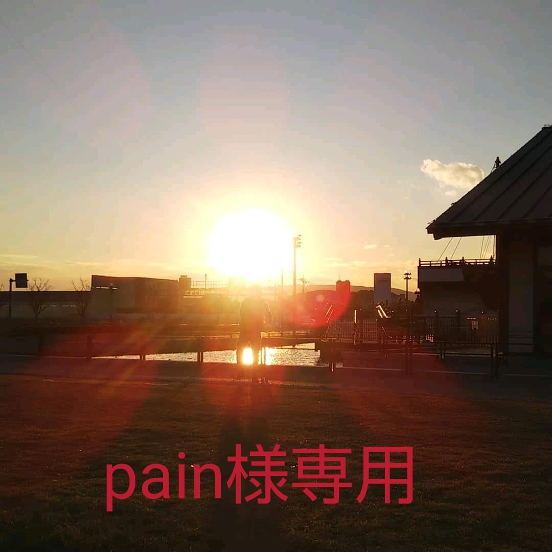 pain 様　ルイヴィトン付属品