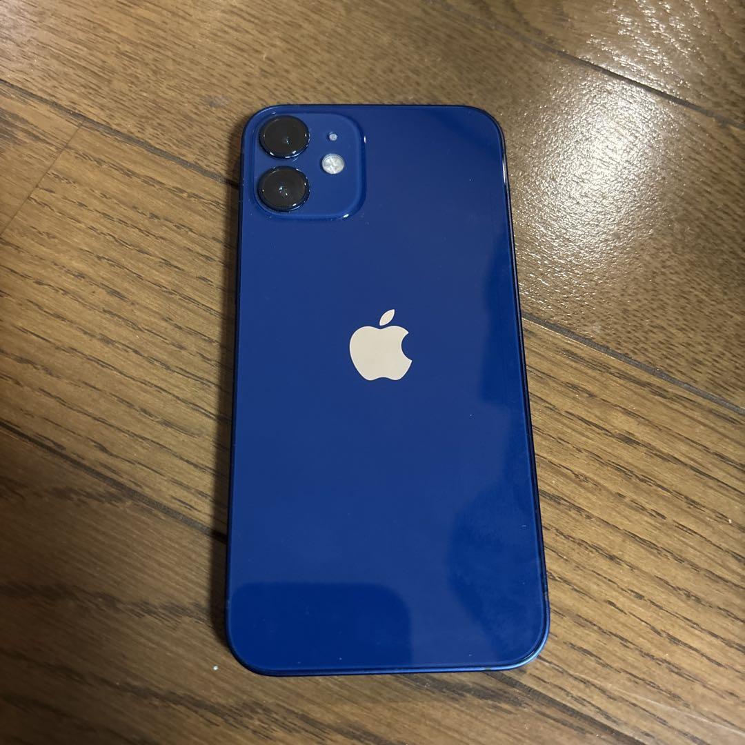 12 mini