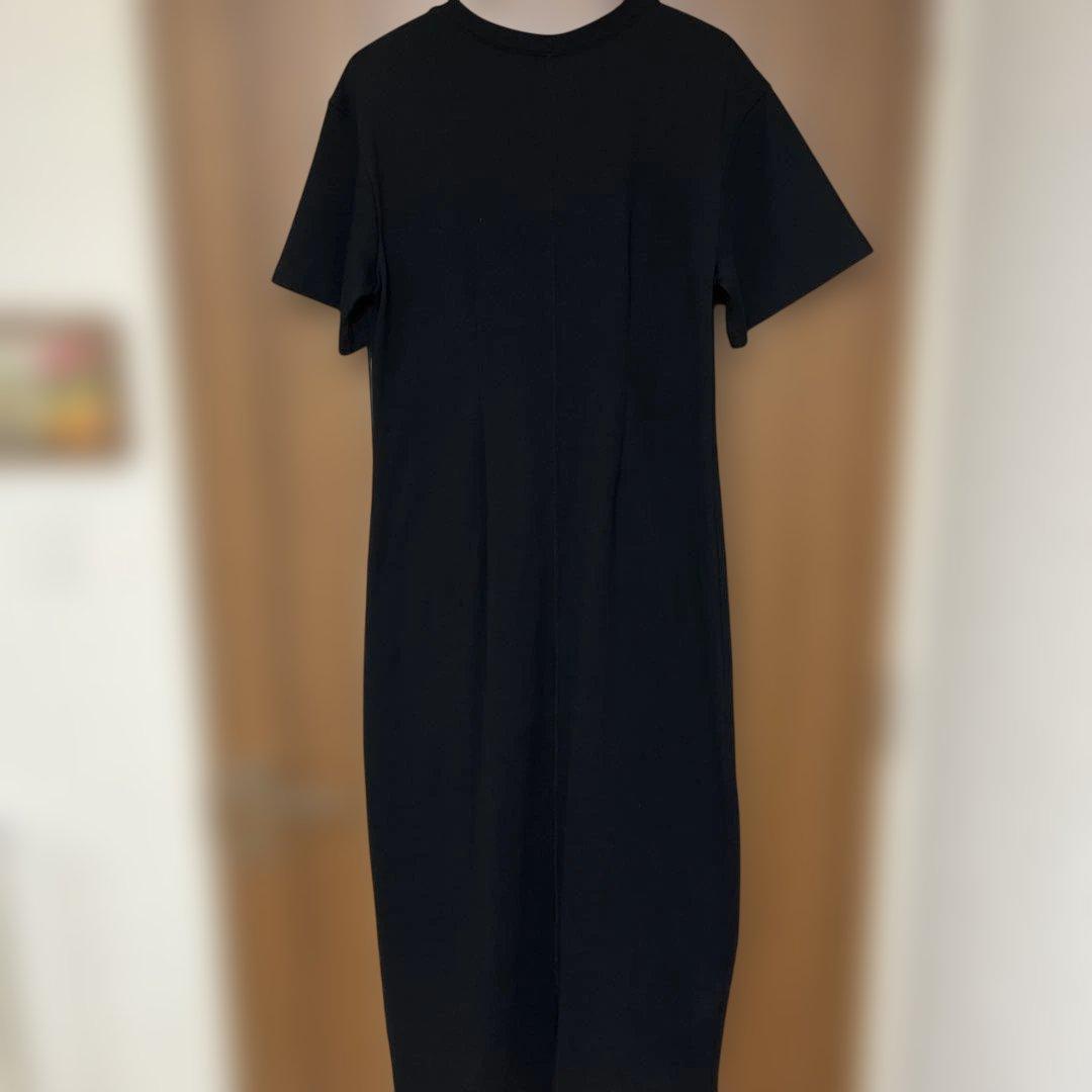 anuke Balloon Cut Onepiece 38