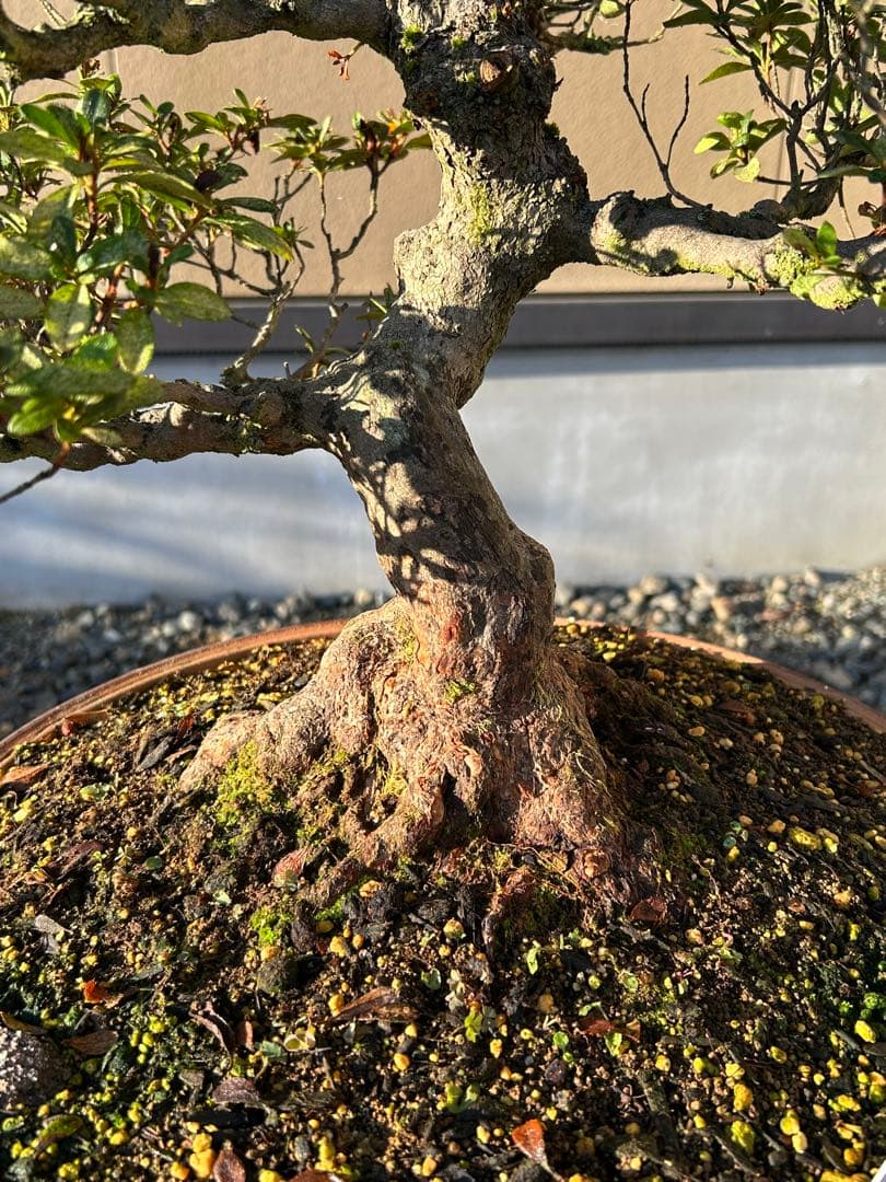 いかがでしょうか♥に近い