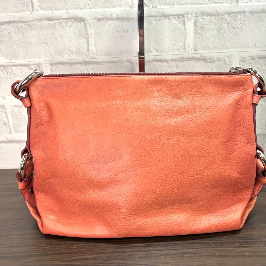 特価HOT➅ ✨正規品&美品‼️✨ レディース レザーショルダーバッグ xlbMs-m54204187184 バリー 国内最安値
