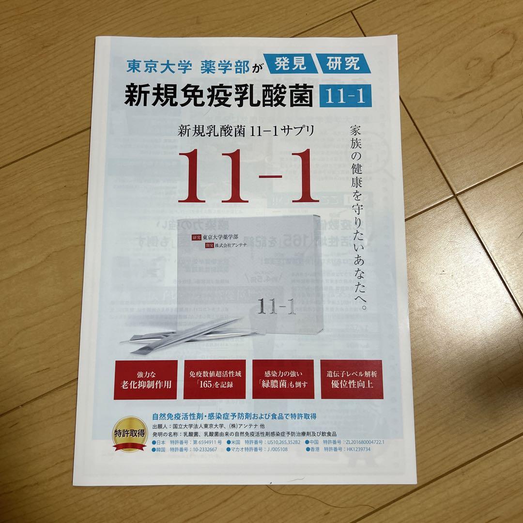 11-1 乳酸菌　いちいちのいち　正規品