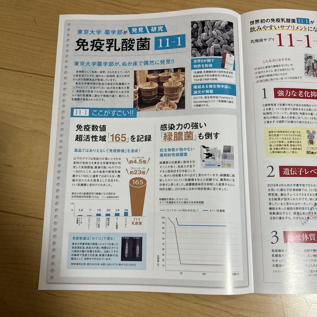11-1 乳酸菌　いちいちのいち　正規品