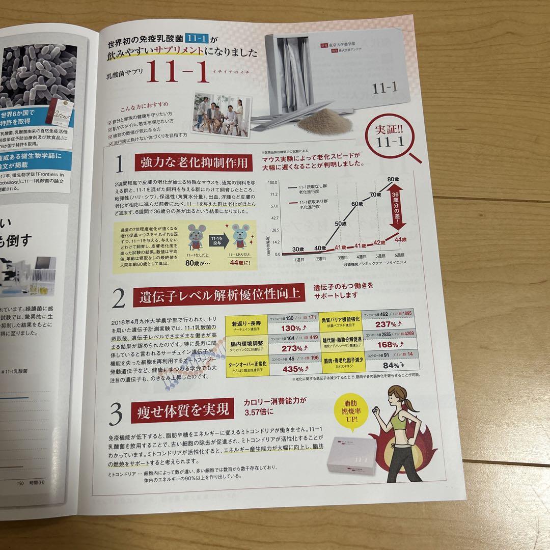 11-1 乳酸菌　いちいちのいち　正規品