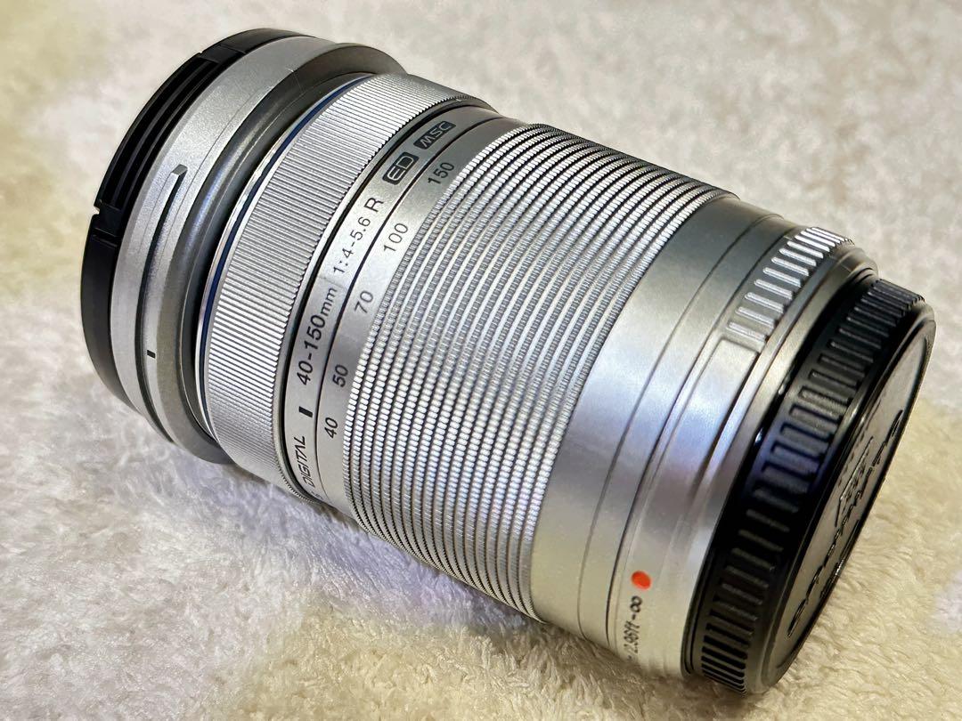 OLYMPUS PEN E-PL10 EZダブルズームレンズおまけ純正ケース付き