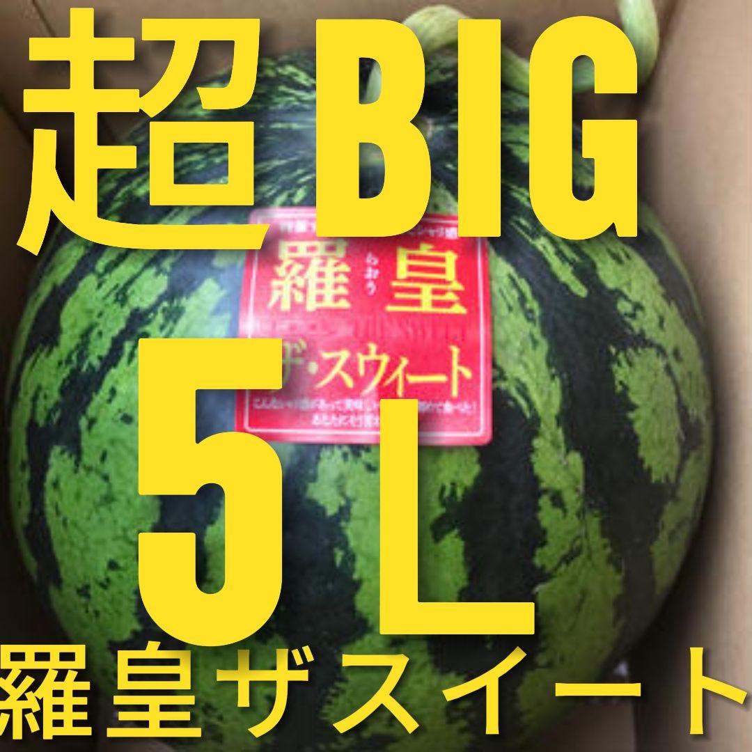 タイムセール価格・先着順！「羅皇ザ・スイート」マツコデラックスが絶賛