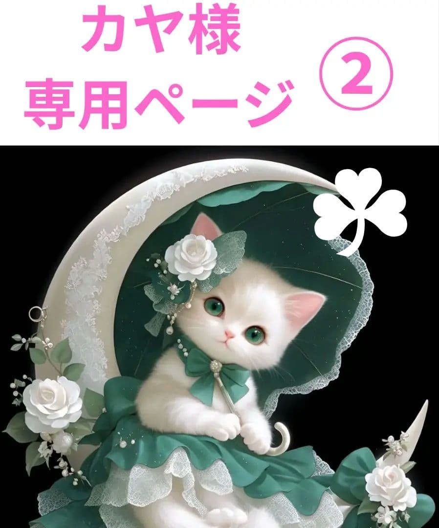 【カヤ様専用】フラットポーチなど❤