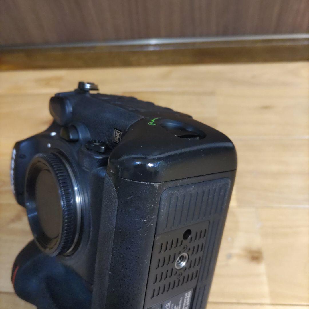 ニコン　D5 Nikon