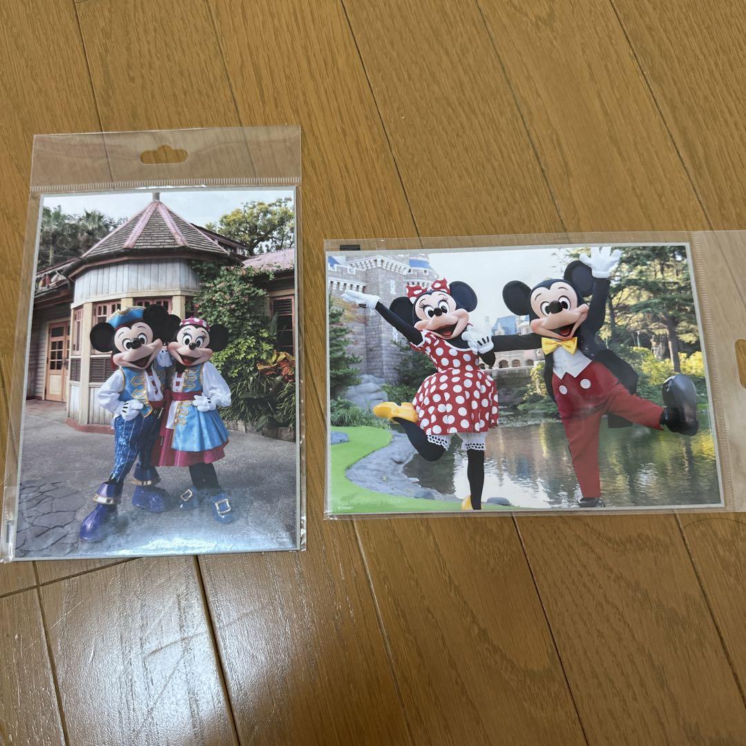 Amazon.co.jp: 篠山紀信 at 東京ディズニーリゾート New MAGIC : 本