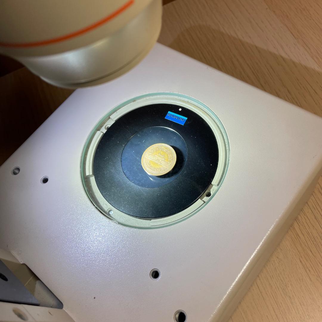 実体顕微鏡