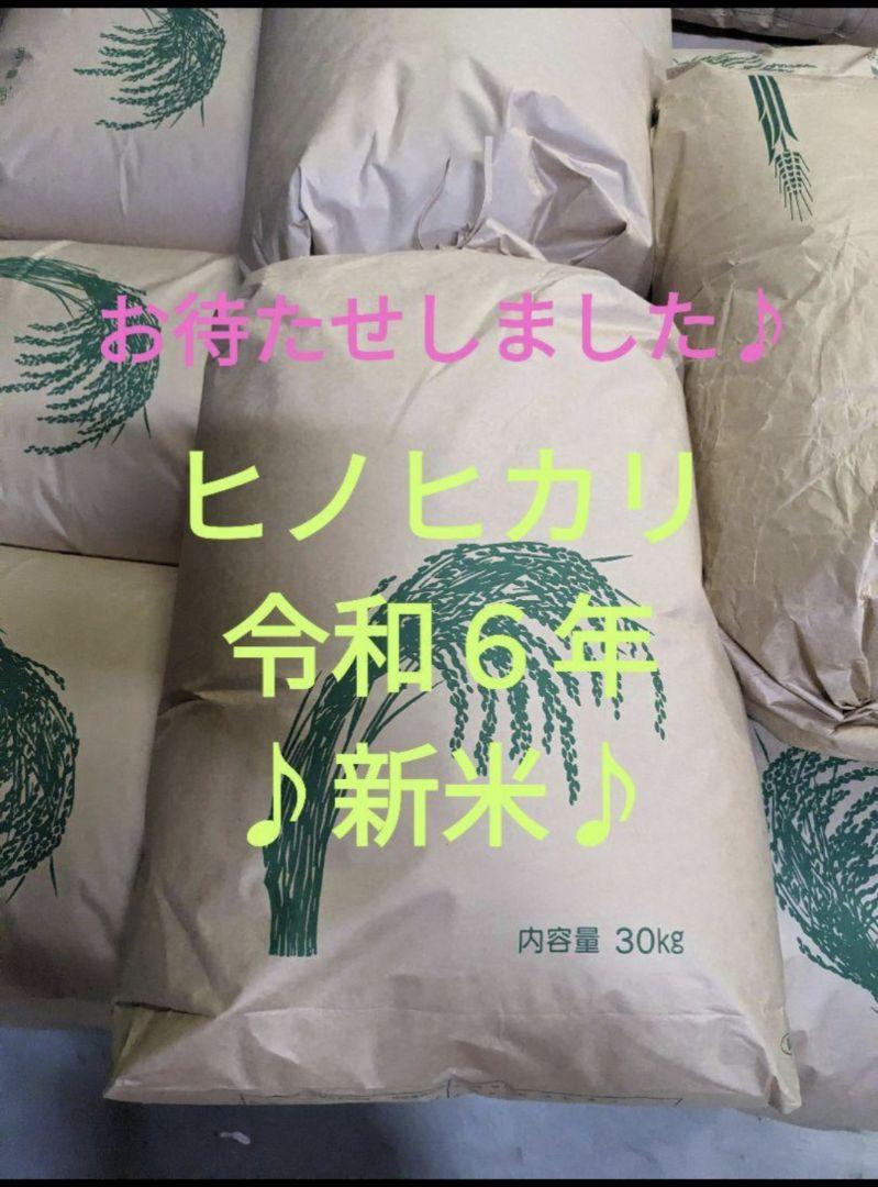 大分県産　ヒノヒカリ　新米　25キロ　玄米