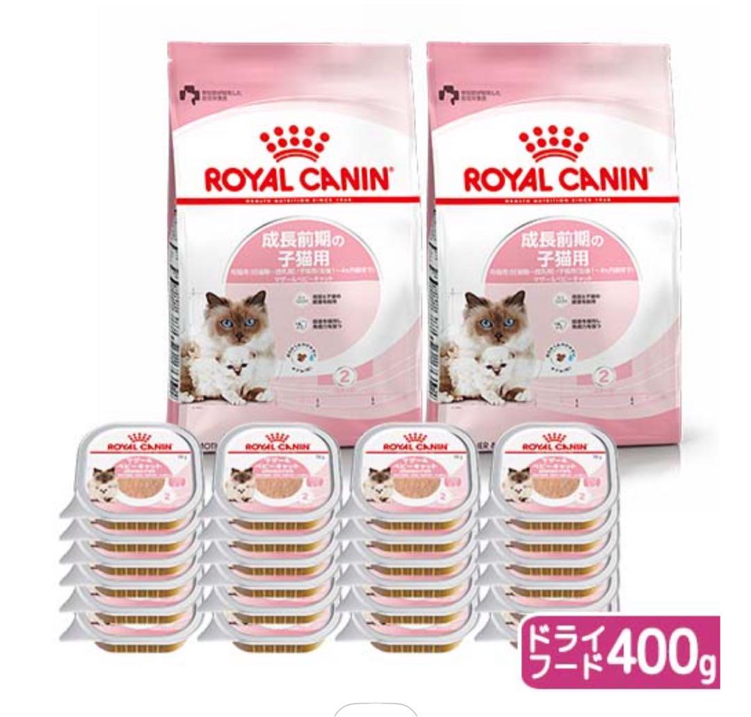ロイヤルカナン　子猫用セット　ドライ４００ｇ×２袋　ウェット１００ｇ×２４個