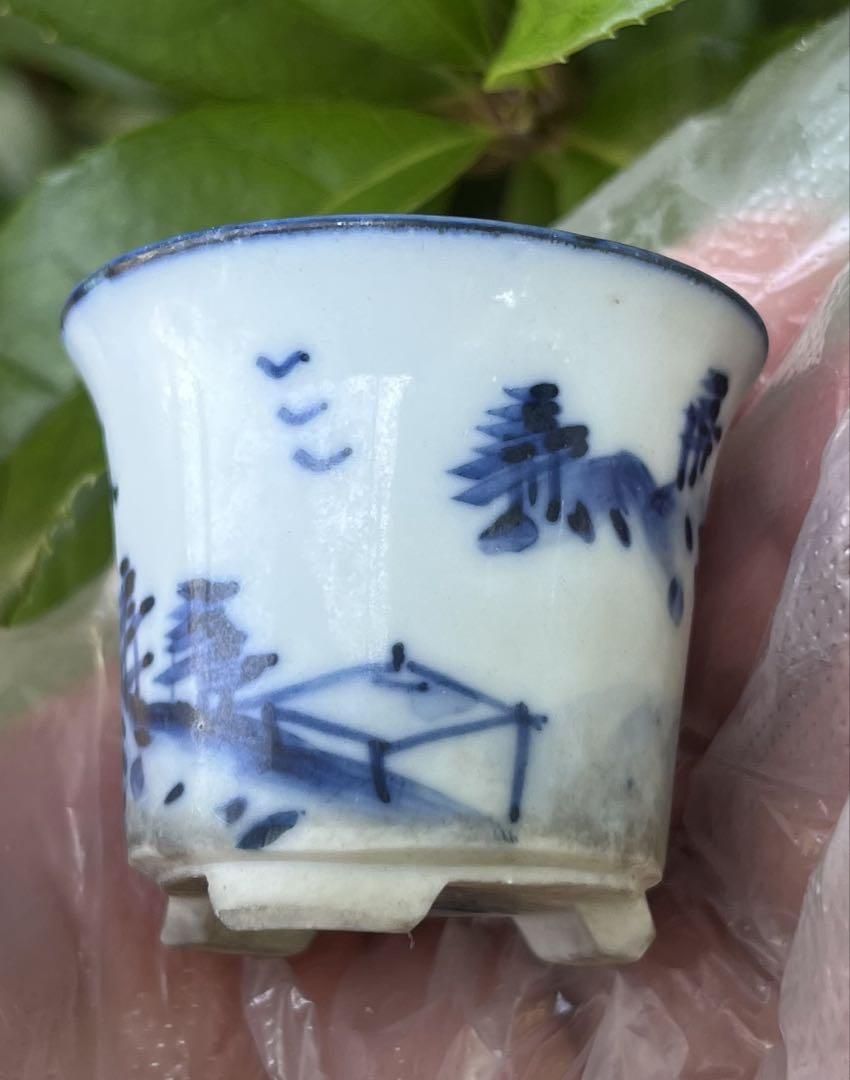 盆栽鉢 雄山