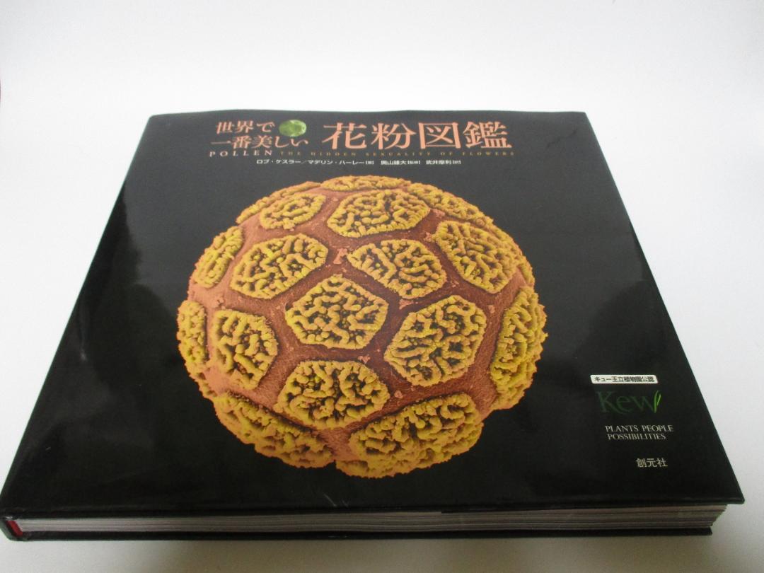 世界で一番美しい花粉図鑑 世界で一番美しい花粉図鑑 | マデリン・ハーレー, ロブ