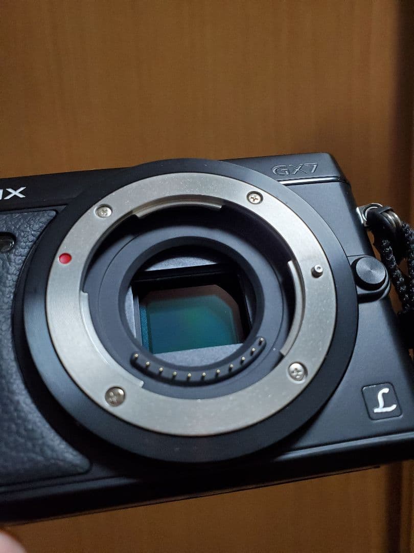 PANASONIC LUMIX DMC-GX7 　LUMIX G