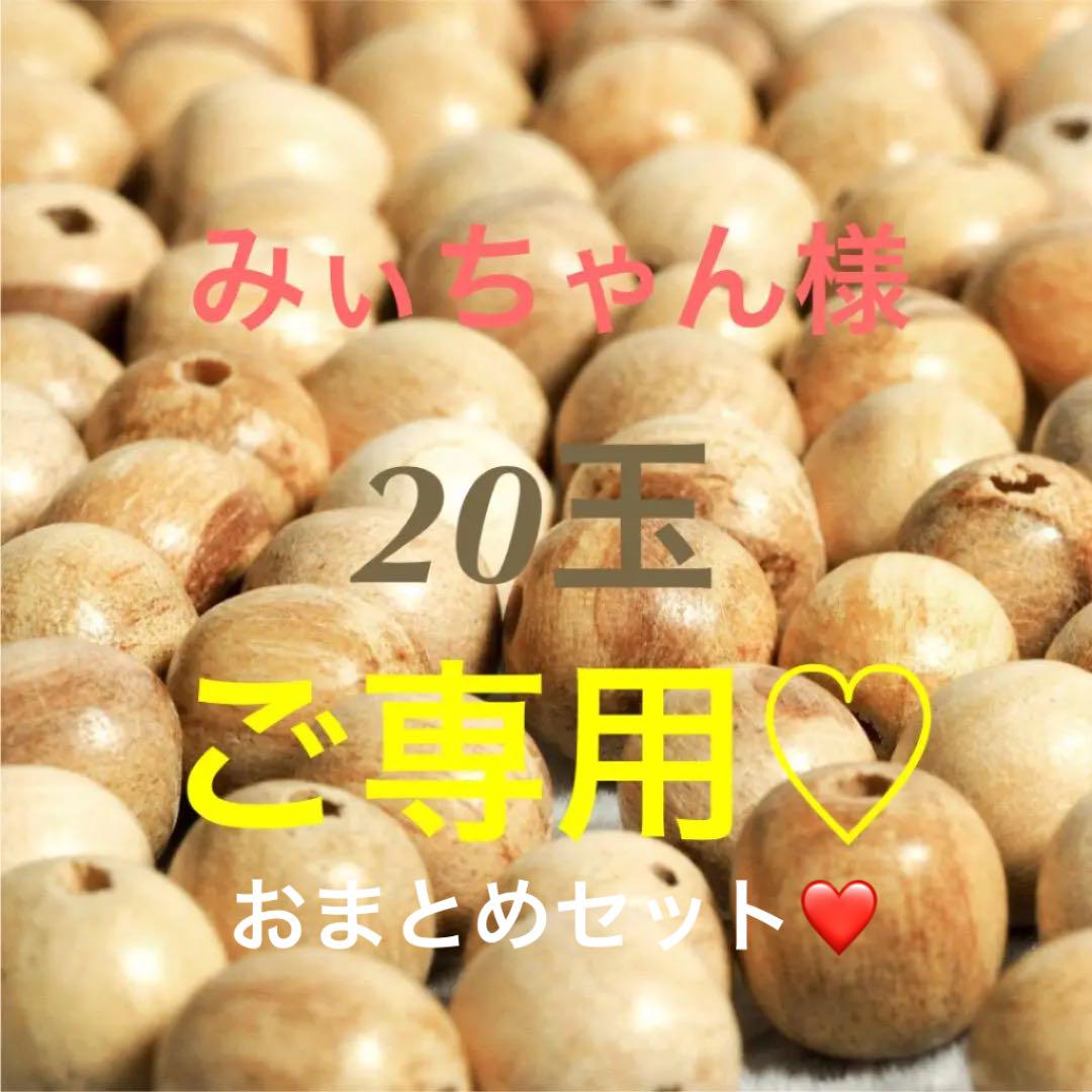 20P★特選一品★希少レア激安☆聖なる樹❤️