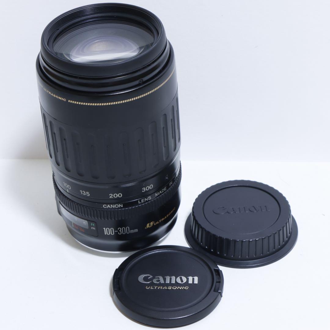 ◇超望遠&高速AF◇Canon純正 300mm 望遠レンズ!!◇ - メルカリ