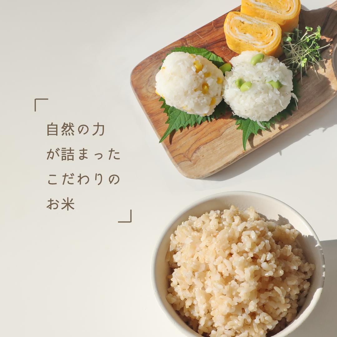 玄米20kg あきさかり つき方が選べる 有機肥料 特別栽培 一等米 令和六年