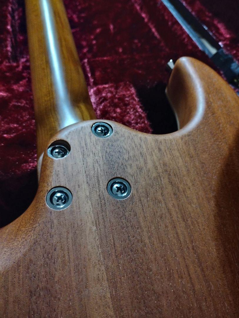 ギター keipro ks-deluxe pro-q ssh tg