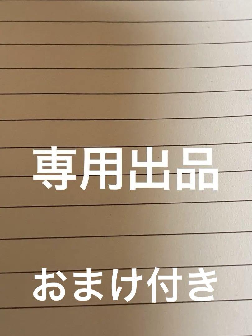 ○ こゆき様専用　お纏め