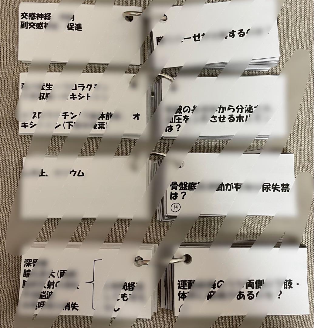 看護師国家試験 看護学生 解剖生理 単語帳 暗記カード