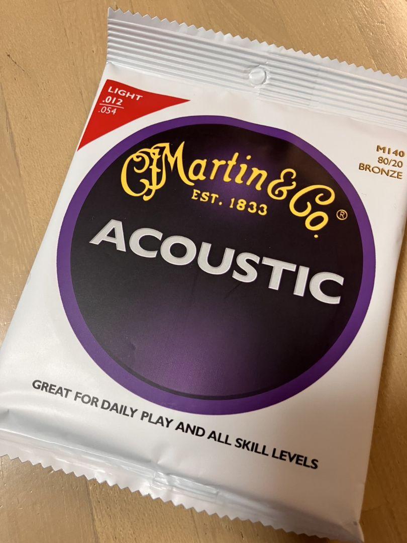ギター Backpacker Steel String