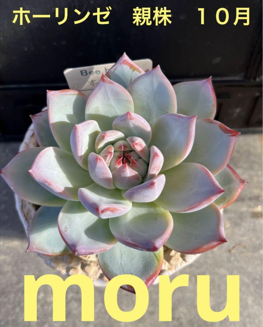 ☀