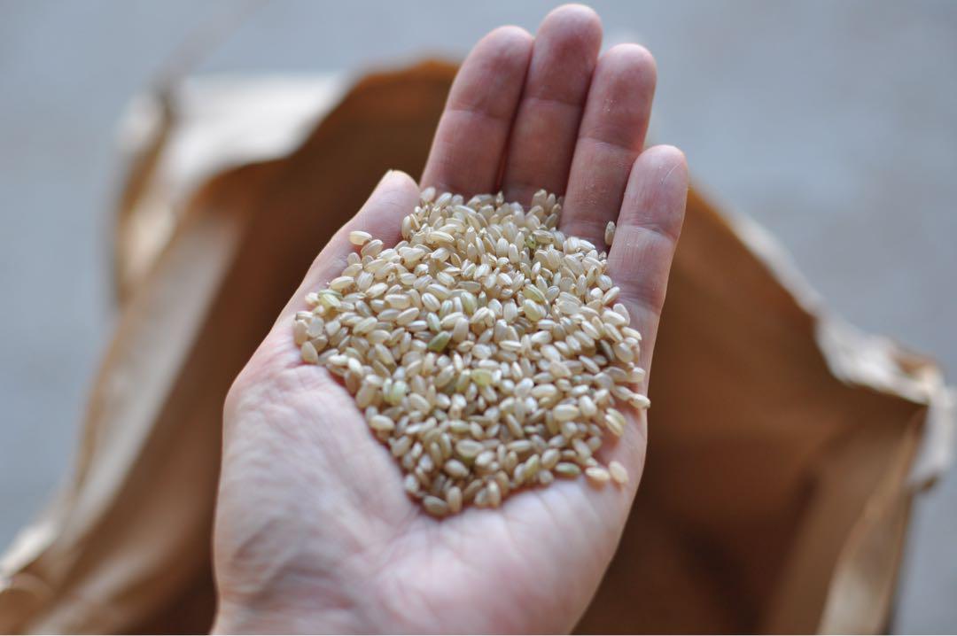 【2023年産】福岡県産ヒノヒカリ｜農薬不使用｜計20kg（ご購入後精米）