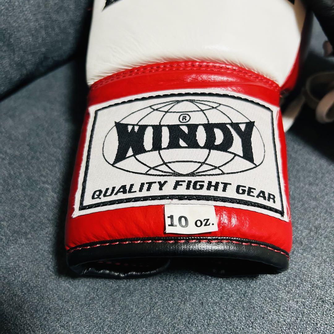 RISE ボクシンググローブ 10oz (美品)
