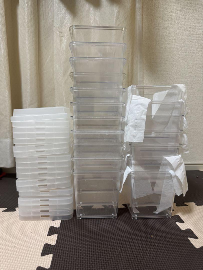 デジケース　小　18個　虫かご