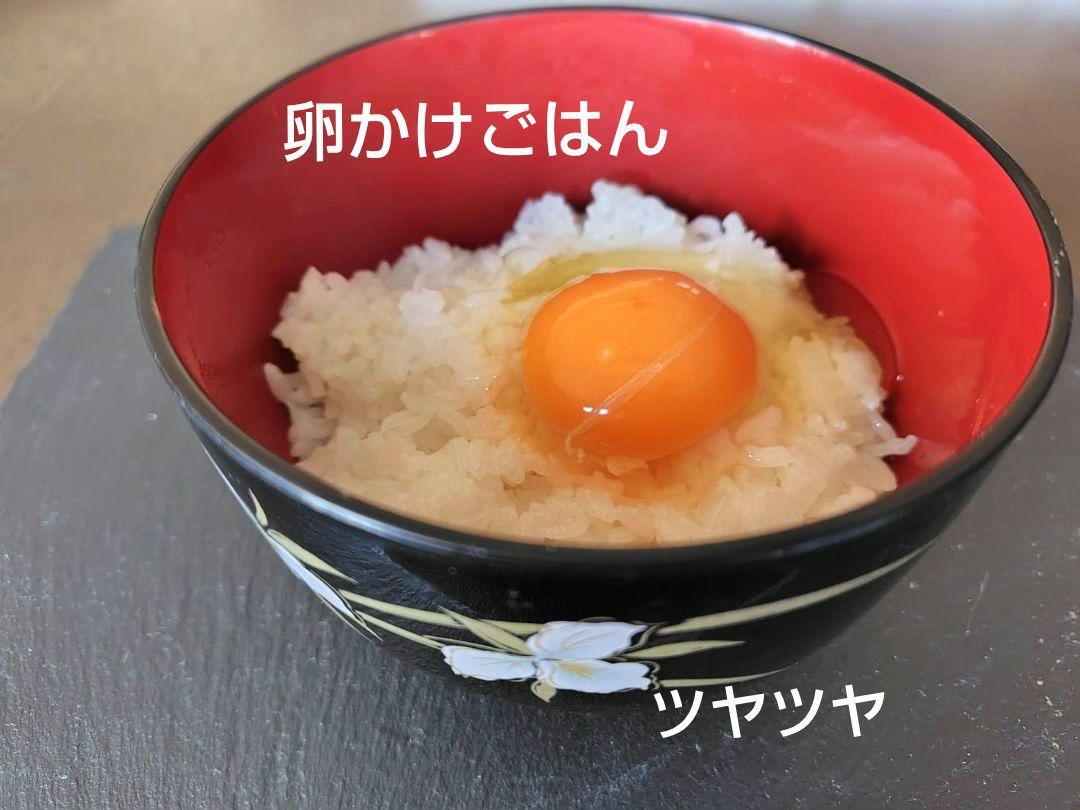 つきあかり10kg　岩手県産 令和６年産 減農薬 玄米 有機栽培 単一原料米