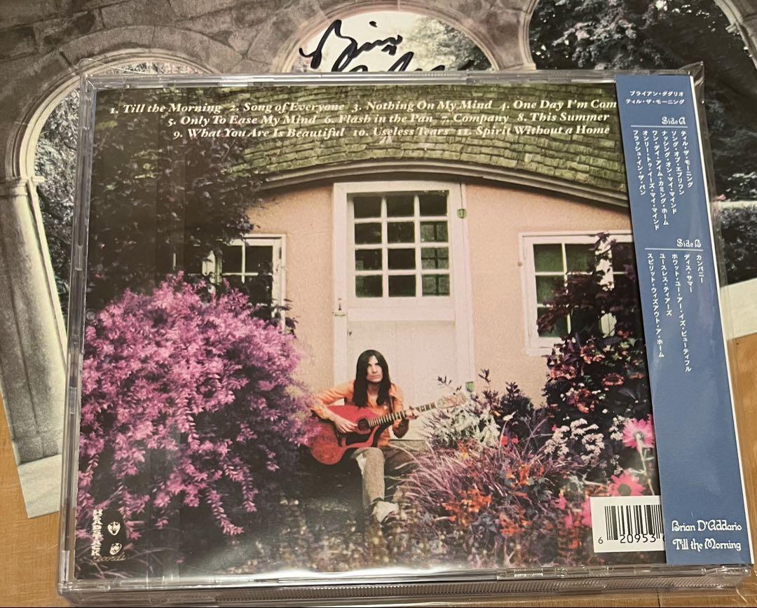 直筆サイン入り BRIAN D'ADDARIO TILL THE MORNING Brian D'Addario - Till the Morning | Rough Trade - (LP