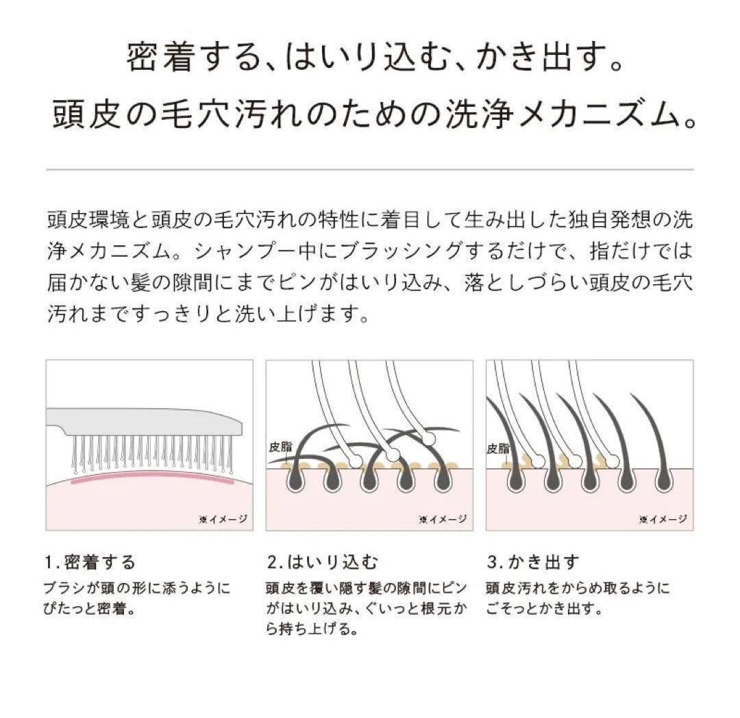 リファイオンケアブラシ　2本
