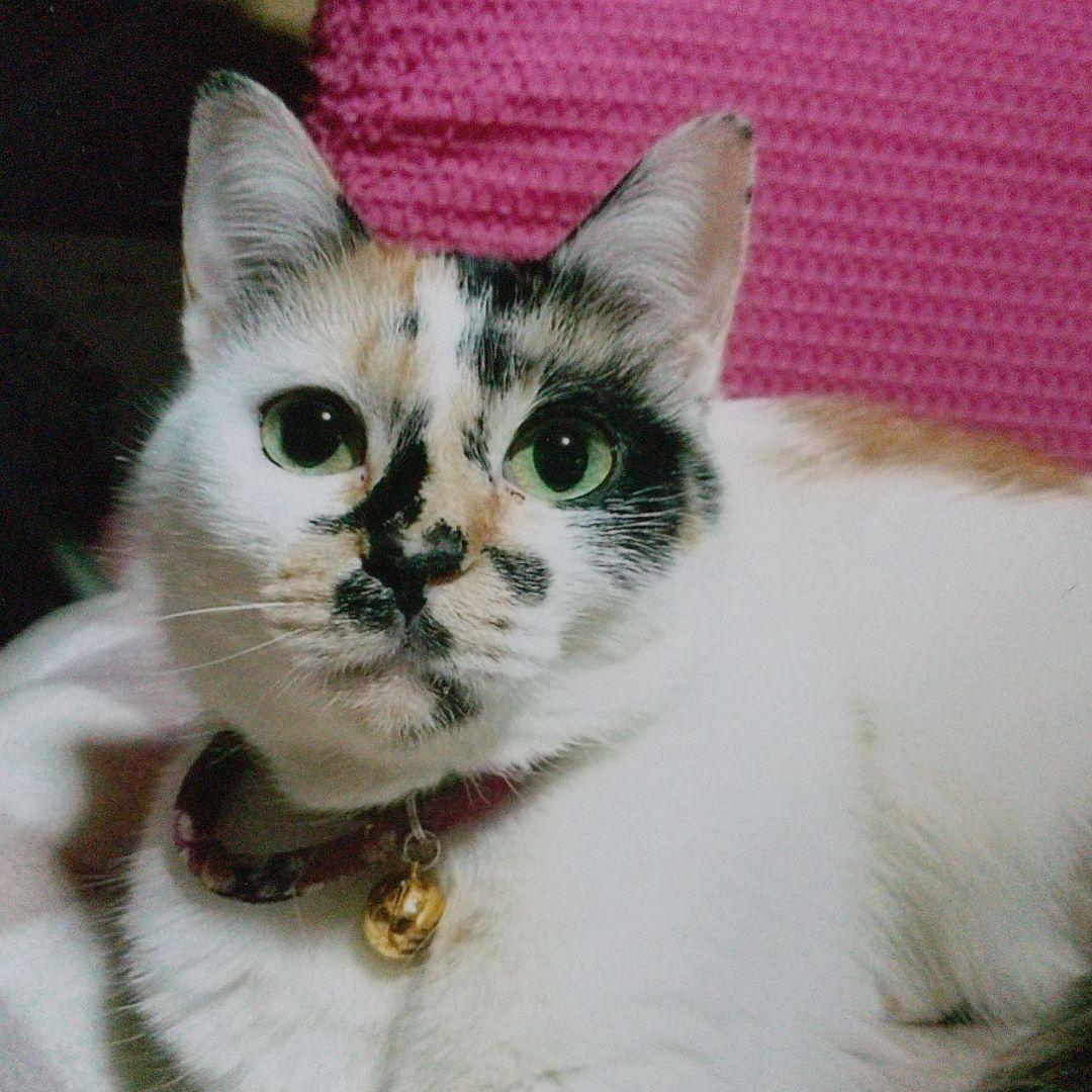 はちみつ