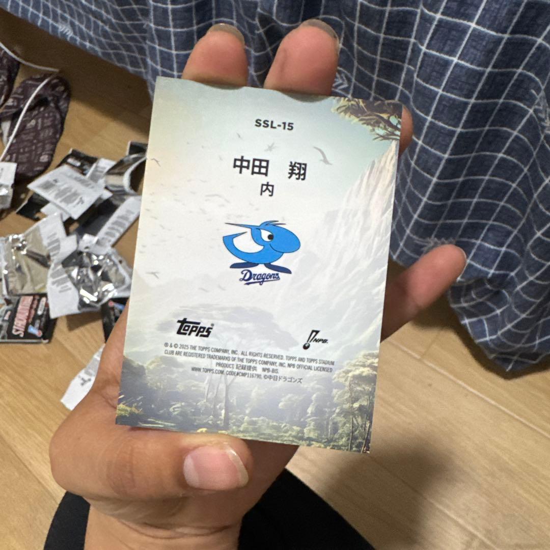 サベージスラッガー SSL-15目立った傷や汚れなし