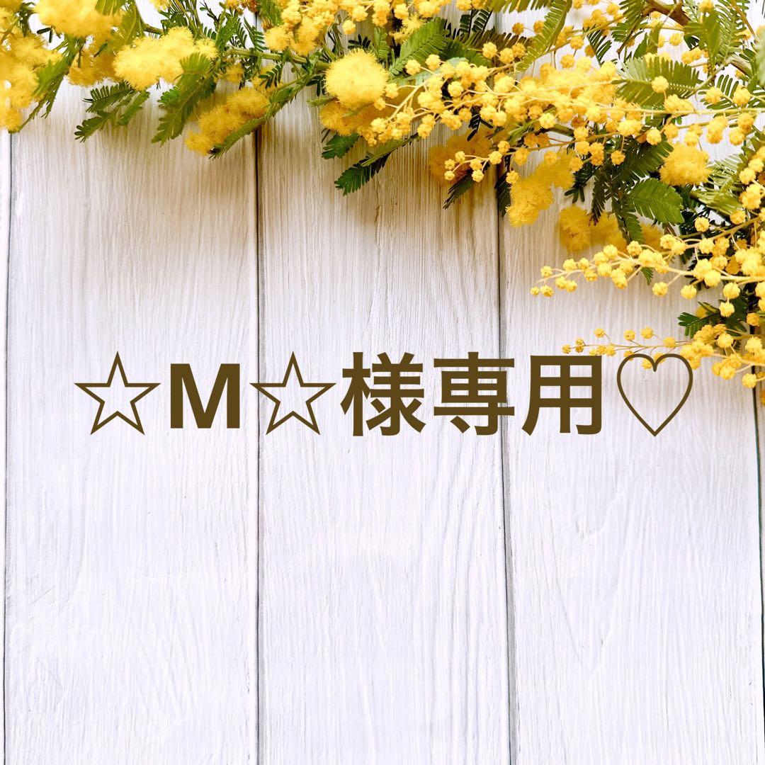 ☆M☆様専用♡