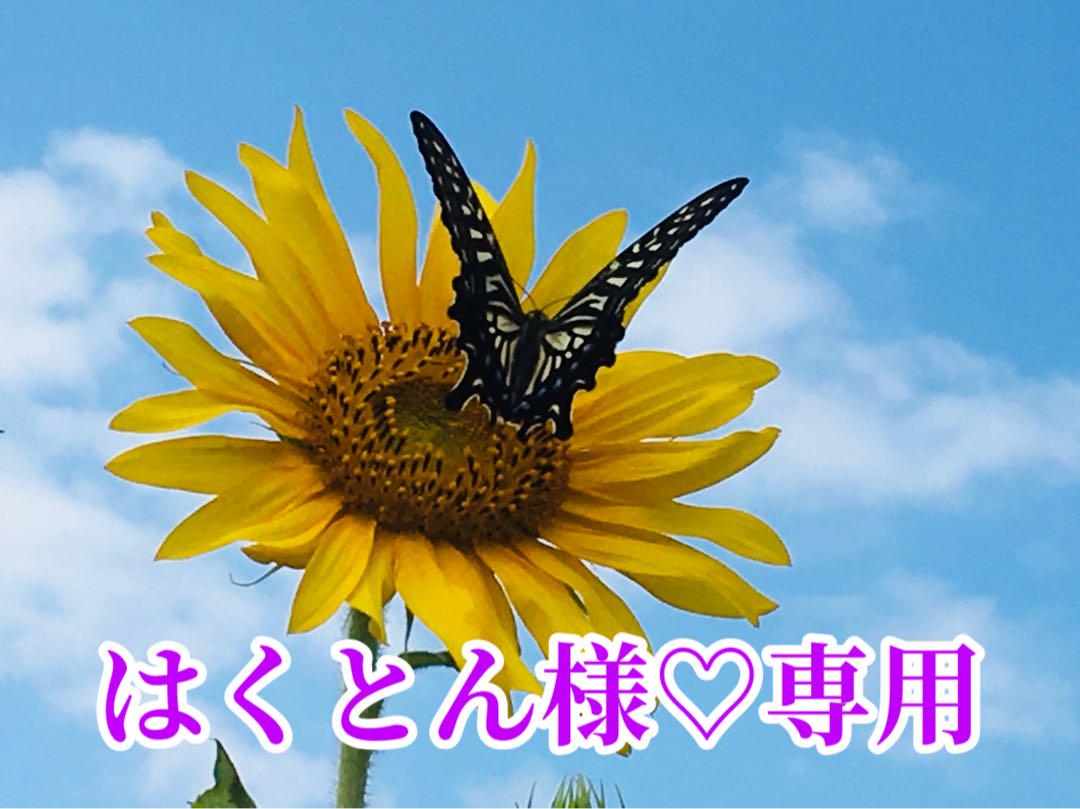 はくとん様❤️おまとめ専用ページです。6/26まで♡