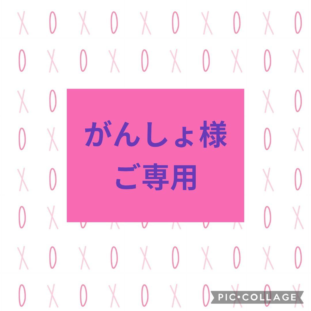 がんしょ様ご専用