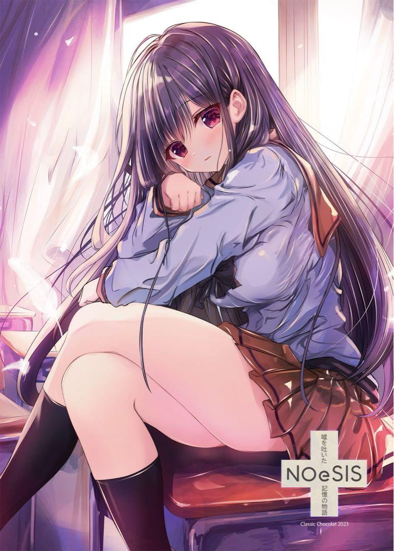 NOeSIS c102 鷹白千夜 サマーブランケット noesis