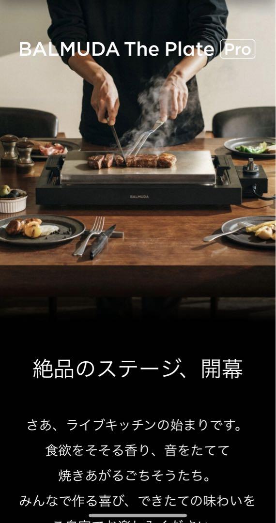 バルミューダ ザプレート プロ