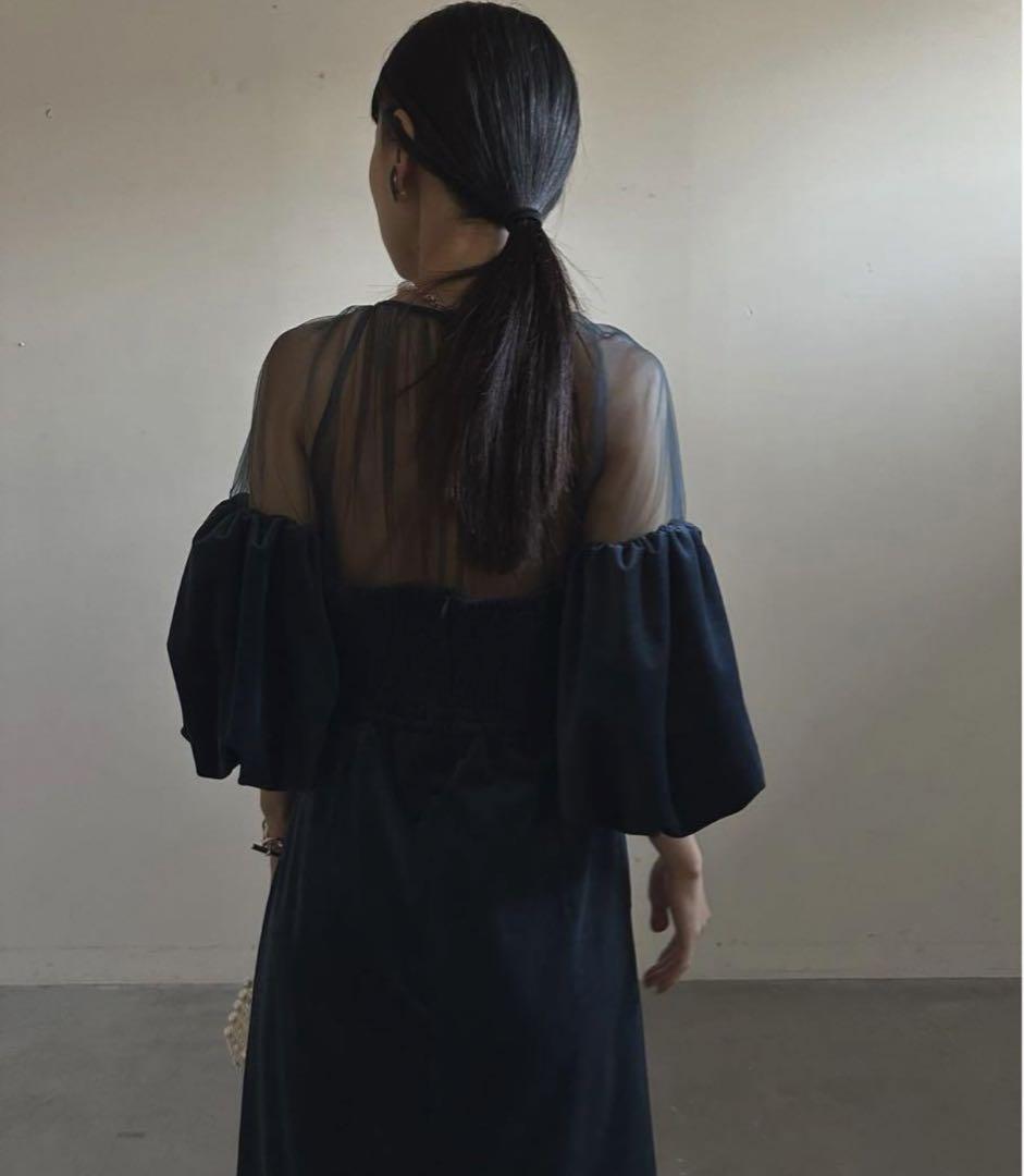 AmeriVintage✨SOUFFLE SLEEVE VELOUR DRESS Ameri VINTAGE】SOUFFLE SLEEVE VELOUR DRESS | FIORI