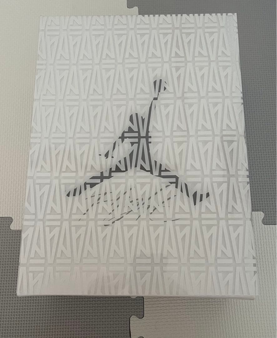 Nike air jordan 3 アママニエール　hv8571-100