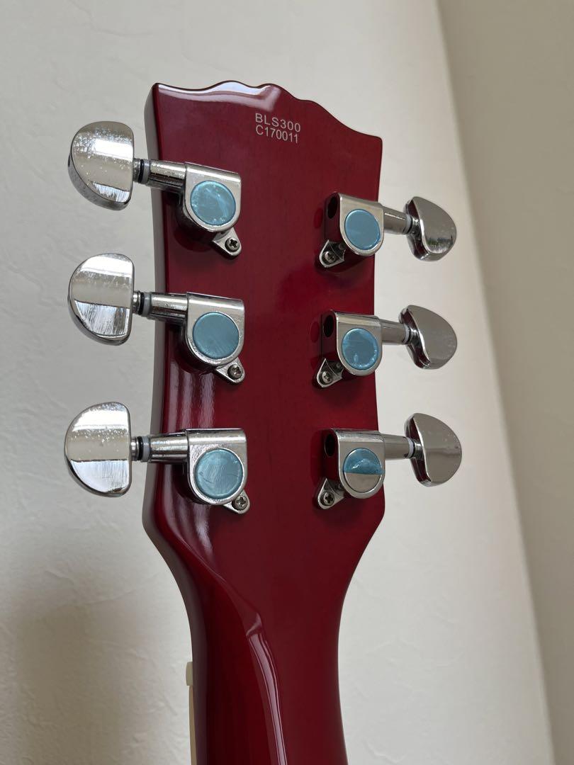 BUSKER´Sバスカーズ エレキギター レスポール ケース付き 楽器・機材 BUSKER´Sバスカーズ エレキギター レスポール ケース付き 楽器・機材