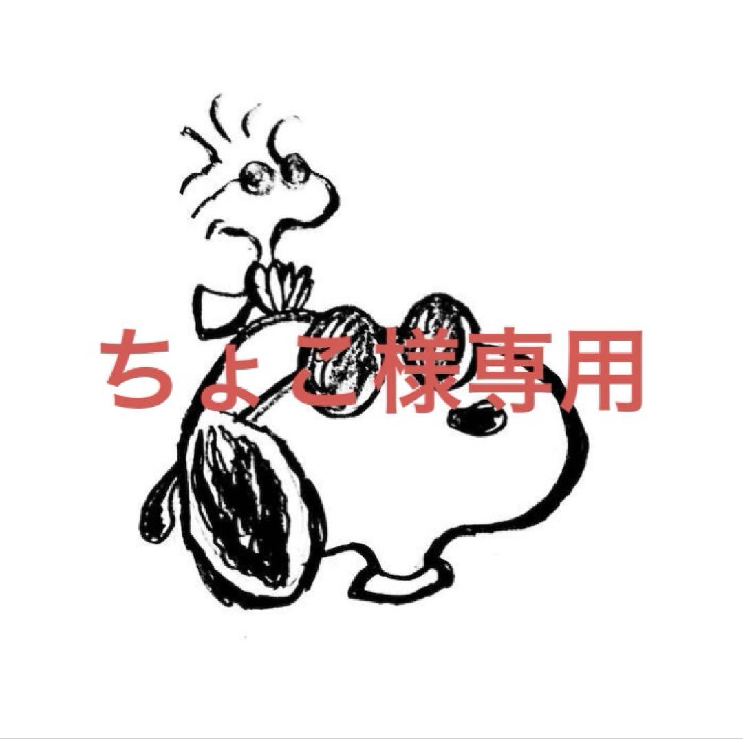 ちょこ