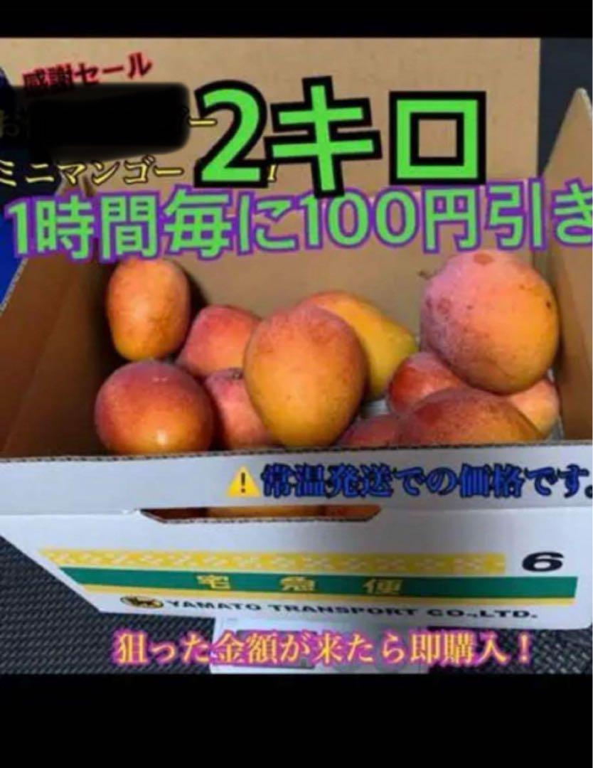 ミニマンゴー　約2キロ ec5192e0f92fc11275a6632348a8a2